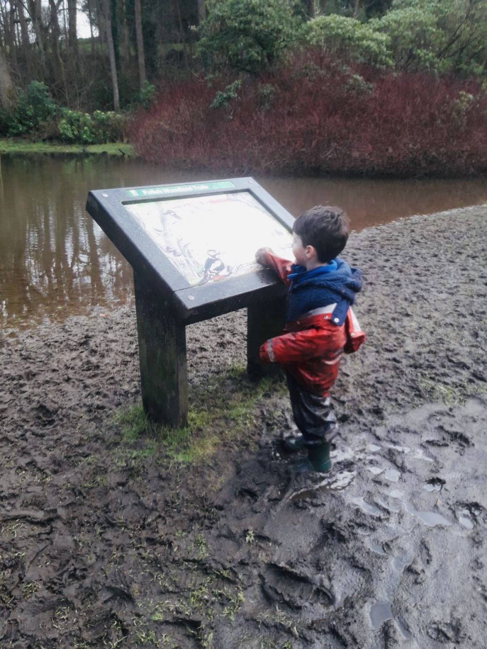 Finding the way